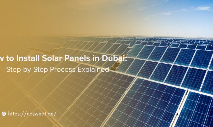 Solar Companies Dubai by No Sweat Solar