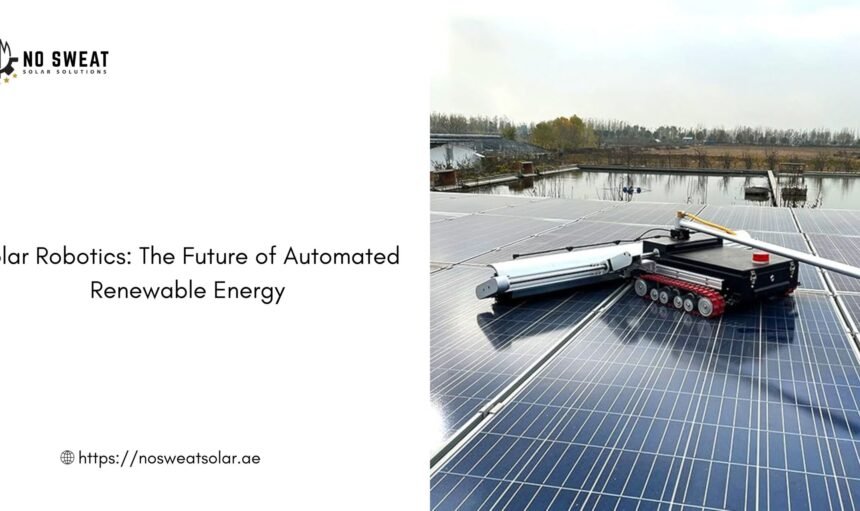 Solar Robotics The Future of Automated Renewable Energy